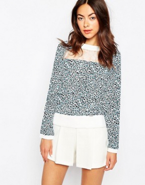 Sister Jane Wild Cat Sweater With Mesh Insert