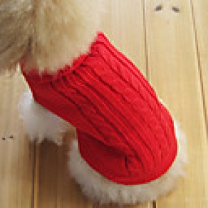 Dog / Cat Sweater Red / Green / Blue / Brown / Pink / Coffee Winter Solid Keep Warm