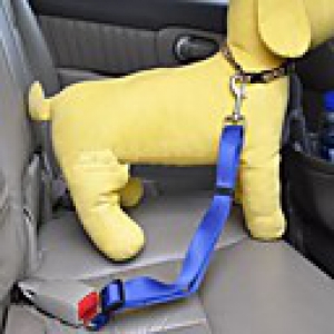 PethingTM Fashionable Pure Color Nylon Car Safety Belt for Dogs (60cm/23inch,Assorted Colors)